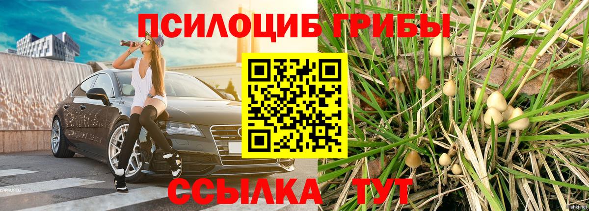 Галлюциногенные грибы MAGIC MUSHROOMS Надым